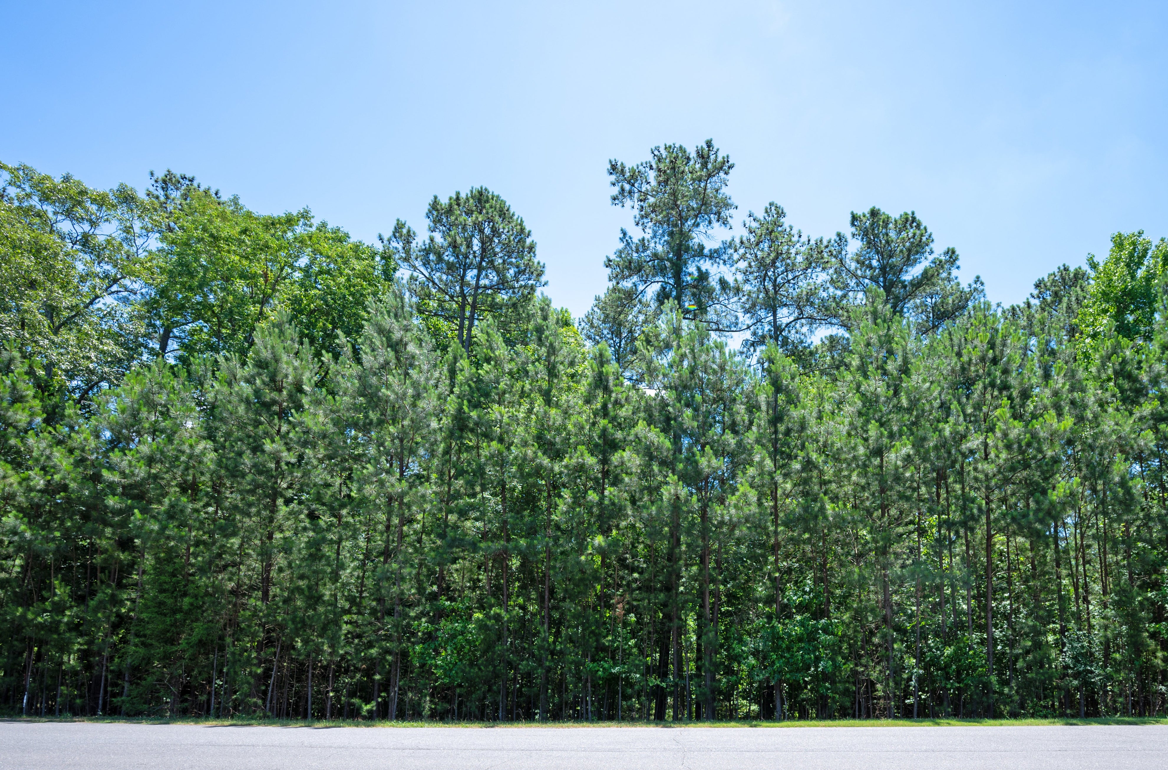 Stunning 1-acre wooded homesite. Charlotte, NC 1.02 Lot for Sale