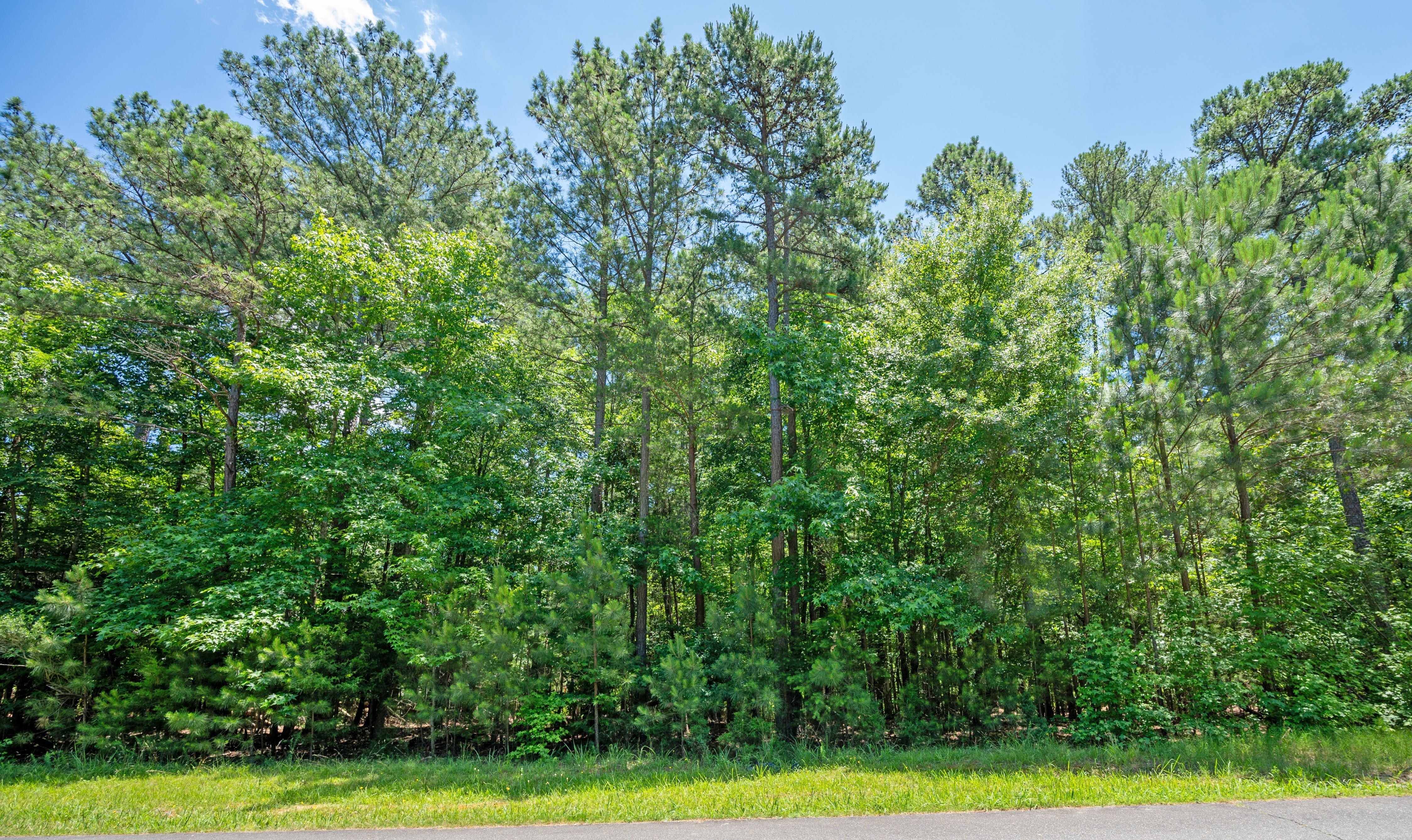 Sized for a 3 or 4-car garage. 1.0322 Lot for Sale in Charlotte, NC