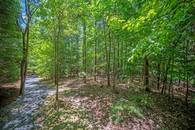 Wooded lot with gravel driveway and mature trees throughout property