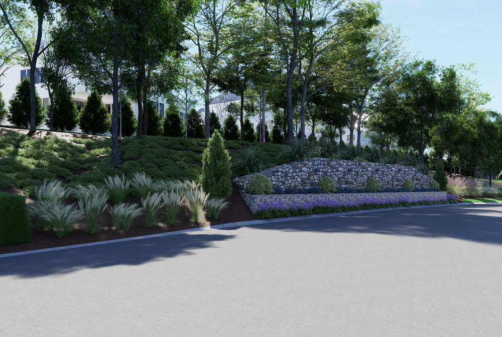 Curved driveway with landscaped hillside featuring ornamental grasses, evergreens, and stone retaining wall