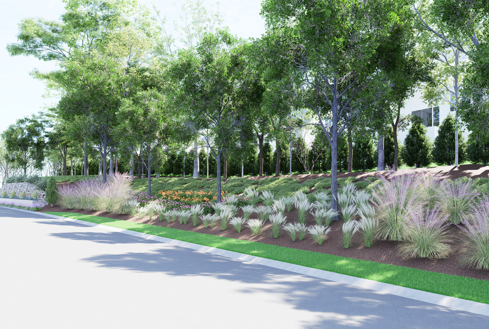 Landscaped hillside with ornamental grasses, trees, and mulched beds along residential street