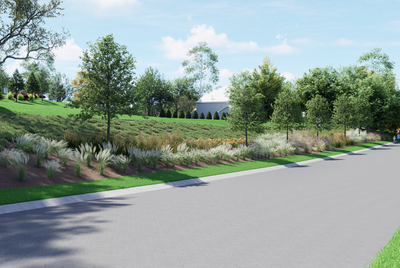 Curved residential street with native grass landscaping and mature trees on sloped terrain