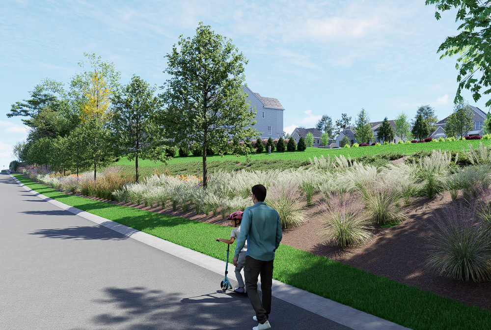 Person on scooter along landscaped neighborhood street with ornamental grasses and homes on hillside
