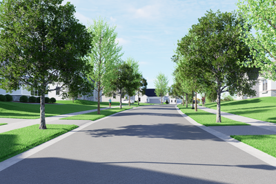 Tree-lined residential street with sidewalks and manicured lawns in suburban neighborhood