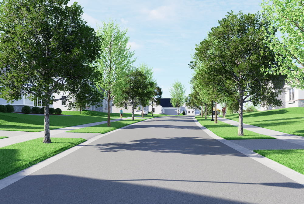 Tree-lined residential street with sidewalks and manicured lawns in suburban neighborhood
