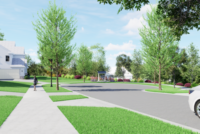 Tree-lined residential street with sidewalks and green lawns