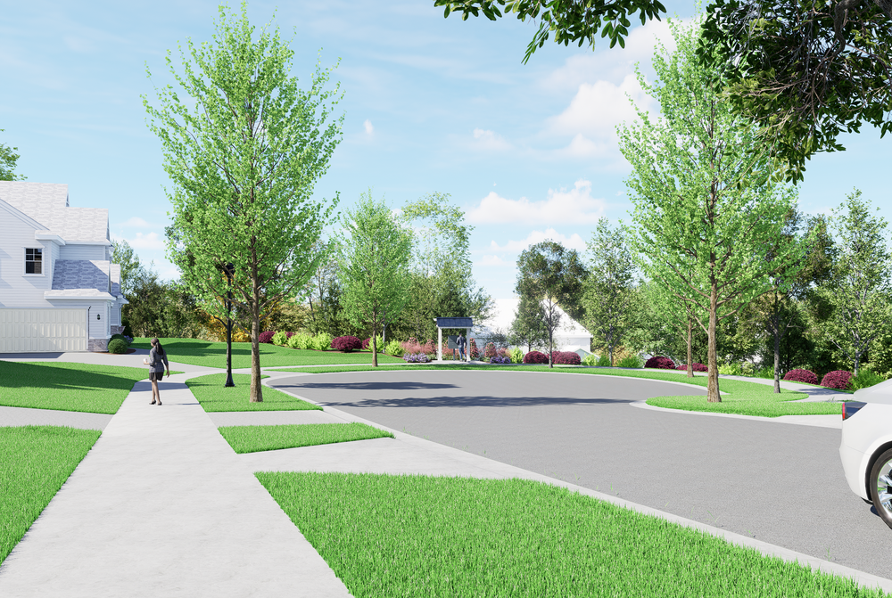 Tree-lined residential street with sidewalks and green lawns