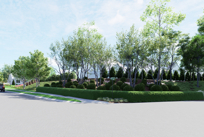 Residential street with manicured hedges, mature trees, and homes in background