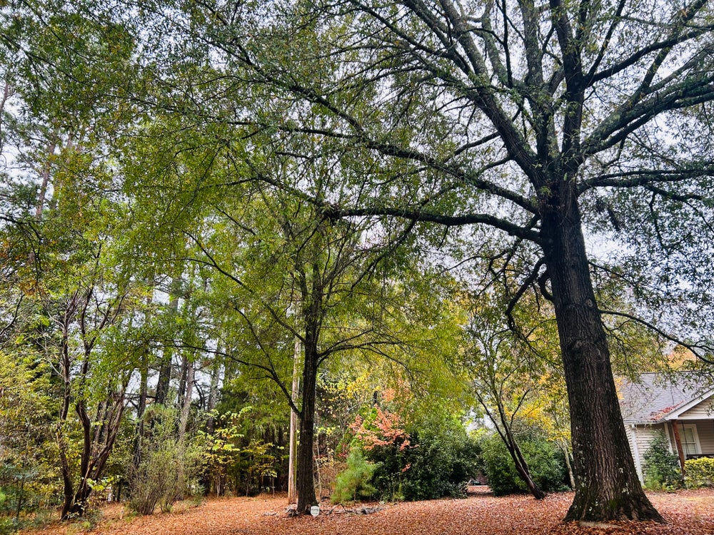 1.0792 Lot for Sale in Weddington, NC