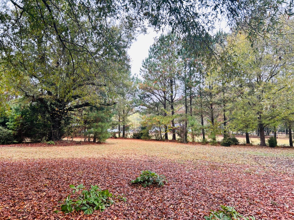 1.0792 Lot for Sale in Weddington, NC