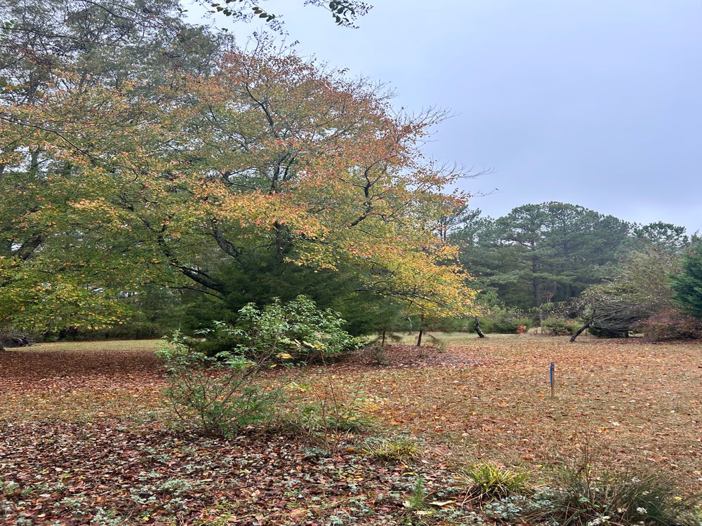 Weddington, NC 1.0792 Lot for Sale