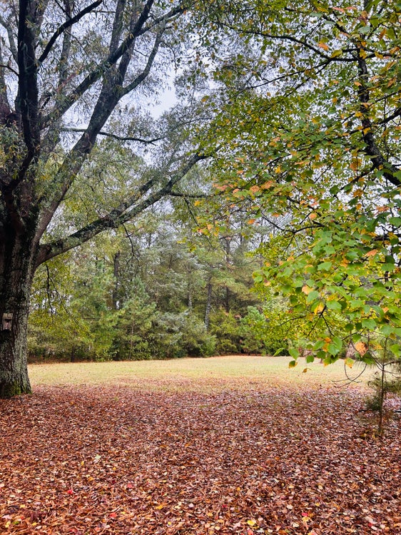 1.0792 Lot for Sale in Weddington, NC