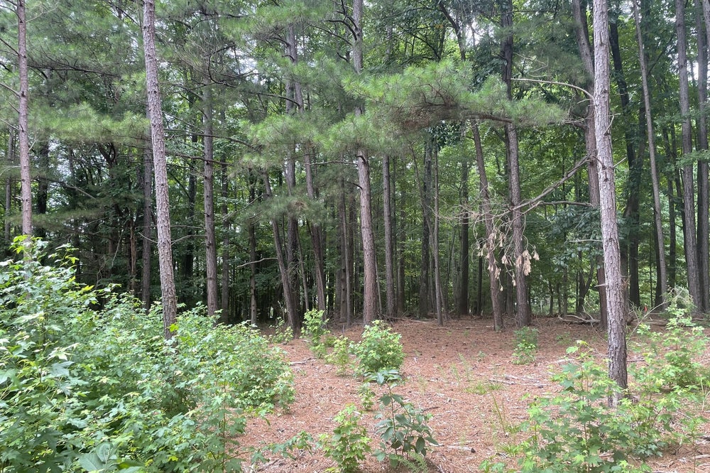 Palos Verde Lot. 5br New Home in Mooresville, NC