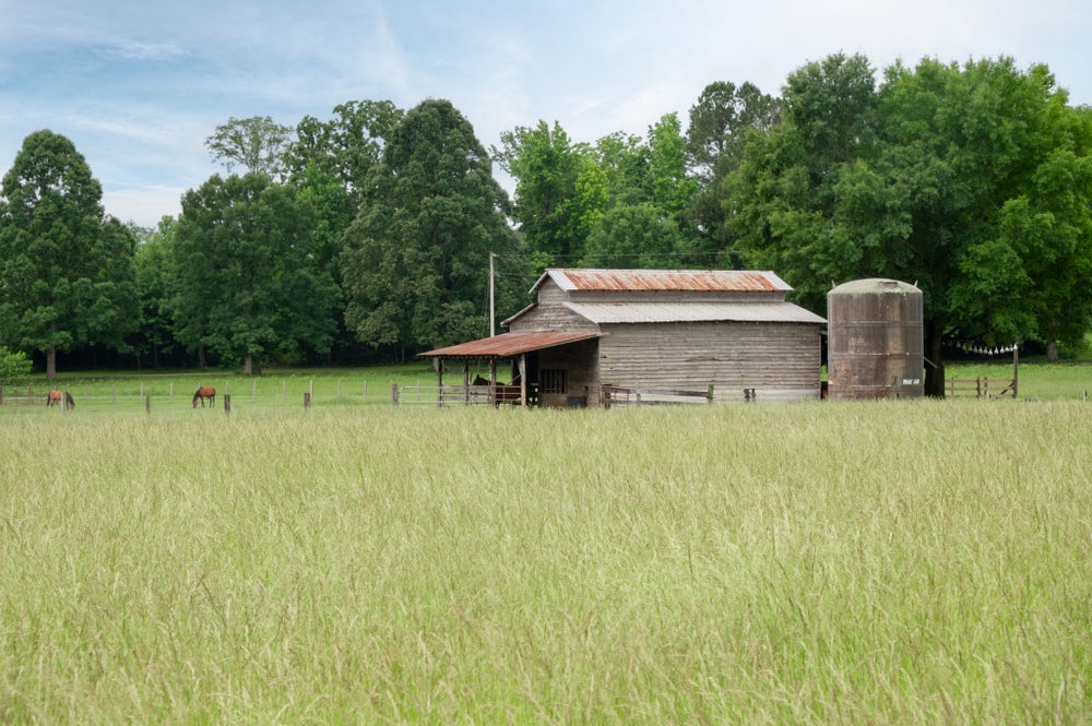 Farm views around the community. Huntersville, NC New Homes