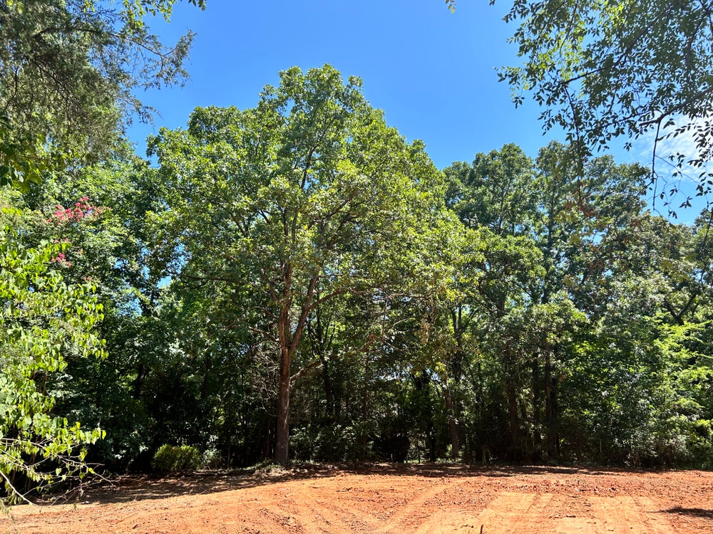 Charlotte, NC Land for Sale