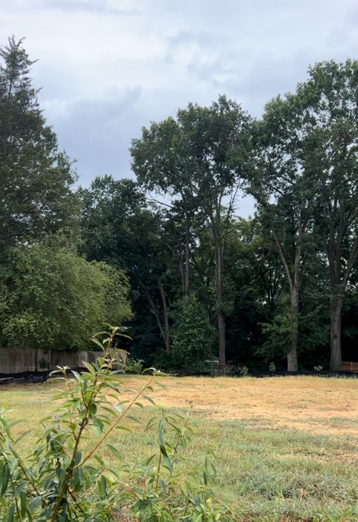 Stratford Avenue Homesite In Midwood. Charlotte, NC 0.2632 Lot for Sale