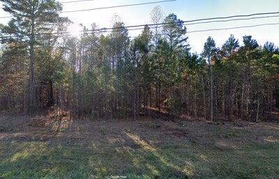 Vacant wooded lot with cleared grass area and mature pine trees