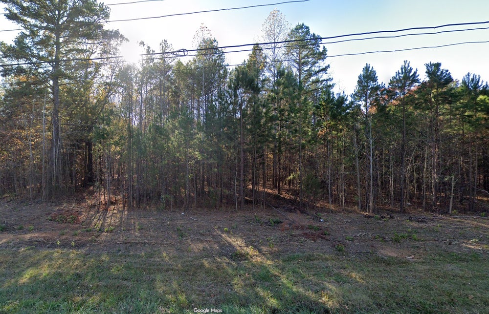 Vacant wooded lot with cleared grass area and mature pine trees