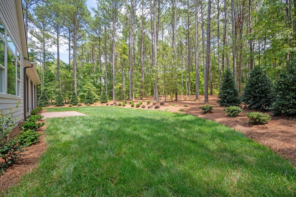 Backyard with green lawn and tall pine trees bordering property