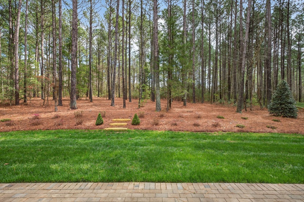 Backyard with green lawn, paver patio, and wooded area with tall pine trees