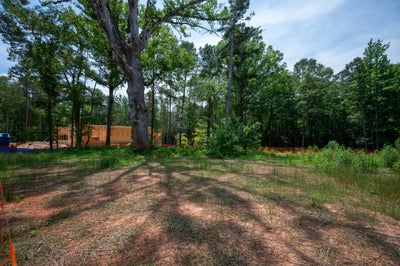 Wooded lot with large oak tree and new home construction framing visible in the background