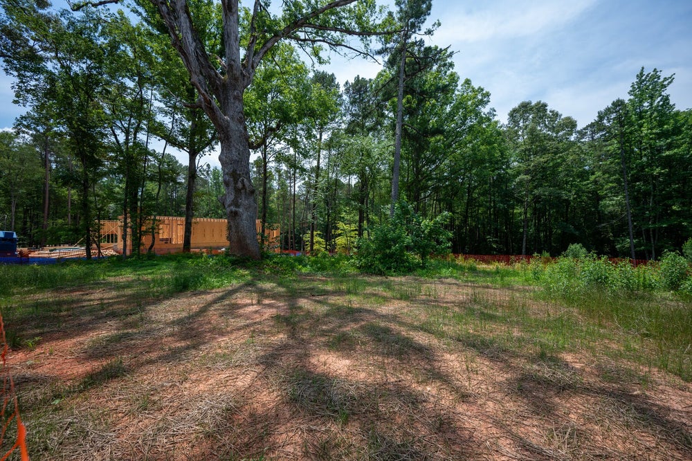 Wooded lot with large oak tree and new home construction framing visible in the background