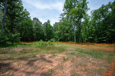 Cleared residential lot with orange construction fencing surrounded by dense green trees