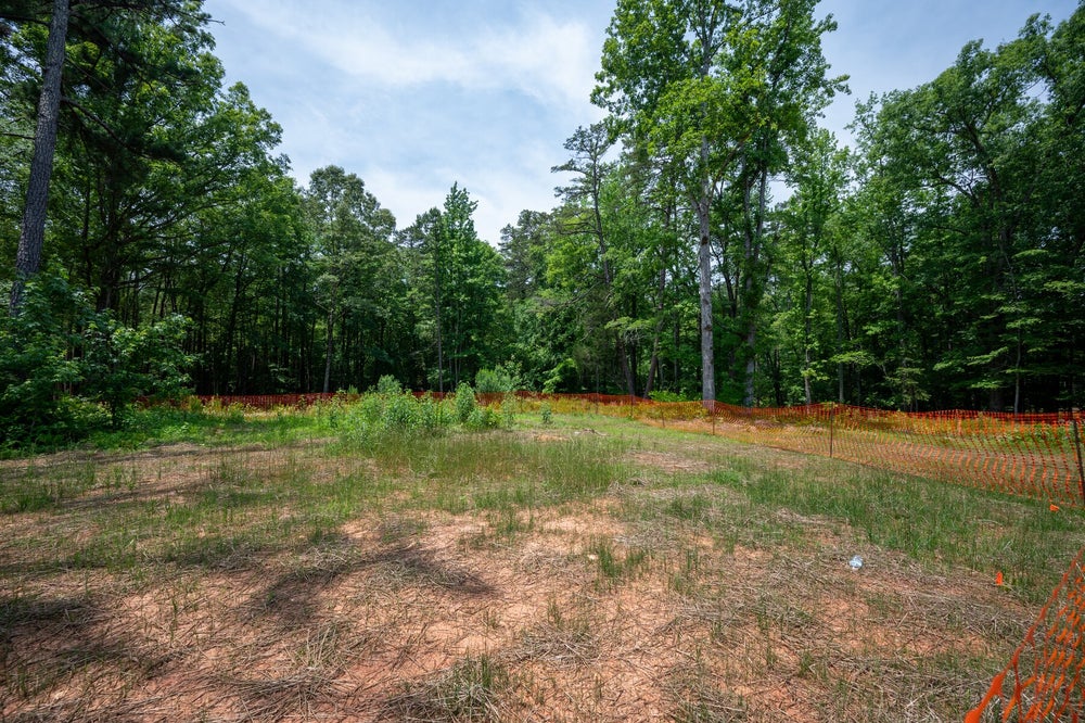 Cleared residential lot with orange construction fencing surrounded by dense green trees