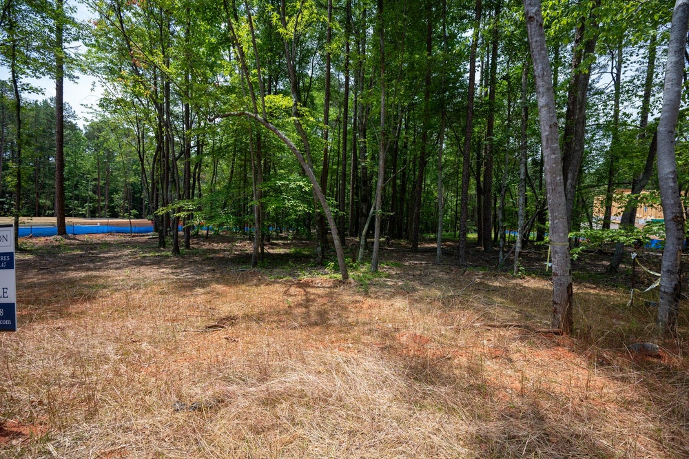 Vacant wooded lot with tall trees, dry grass, and a for-sale sign visible on the left edge.