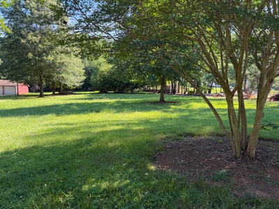 Open grassy lot with mature trees, a crape myrtle in foreground, and a red outbuilding visible on the left.