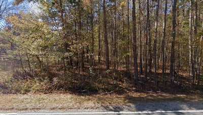 Wooded vacant lot with tall trees and brush along a paved road in autumn