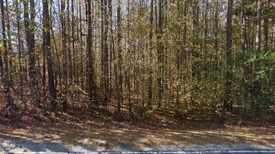 Wooded vacant lot with tall trees and leaf-covered ground along a paved road