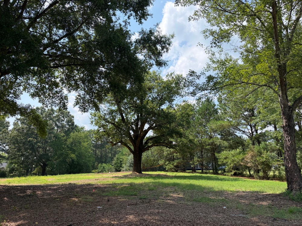 Open residential lot with mature oak trees, green grass, and wooded surroundings on a sunny day