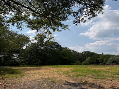 Open vacant lot with grassy clearing, dirt path, and mature trees under a partly cloudy sky