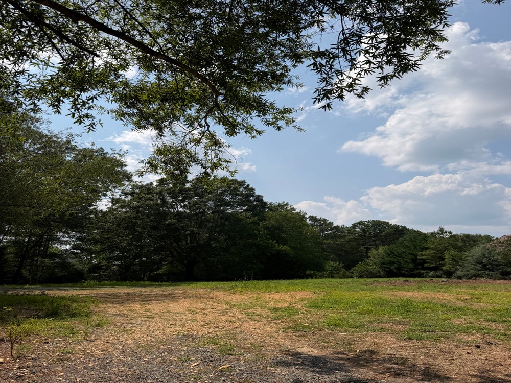 Open vacant lot with grassy clearing, dirt path, and mature trees under a partly cloudy sky