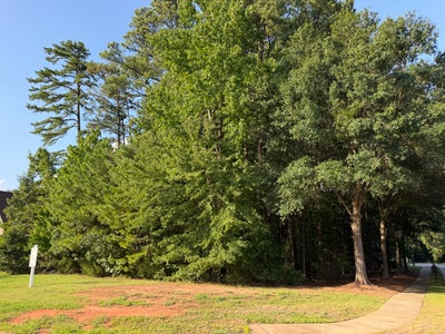 Vacant residential lot with mature trees, green lawn, and a sidewalk along the edge under a clear blue sky.