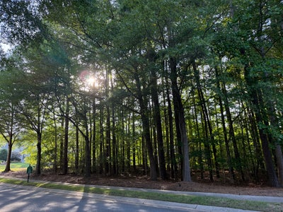 Wooded residential lot with tall mature trees along a paved street with sidewalk