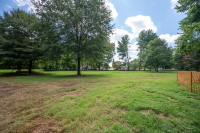 Vacant lot with open grass, mature trees, and orange construction fencing on the right side