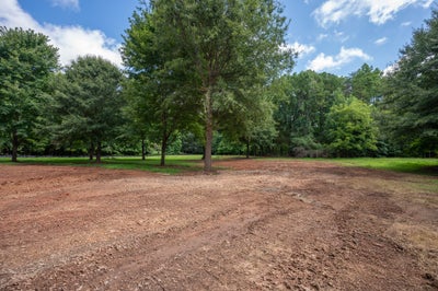 Cleared and graded vacant lot with mature trees and wooded tree line in background