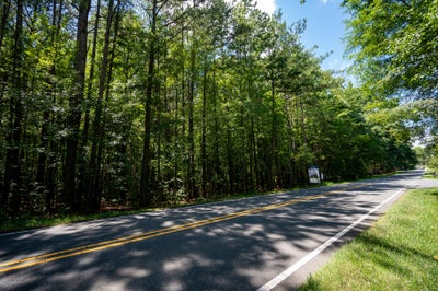 Two-lane road lined with tall trees and green grass on a sunny day