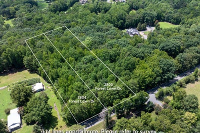Aerial view of two wooded vacant lots at 2800 and 2804 Forest Lawn Dr with marked boundaries along a road.