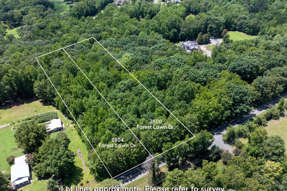 Aerial view of two wooded vacant lots at 2800 and 2804 Forest Lawn Dr with marked boundaries along a road.