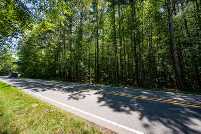 Two-lane road with double yellow center line bordered by tall green trees and grassy shoulder