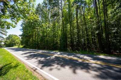 Two-lane road with yellow center lines bordered by tall trees and green grass on a sunny day