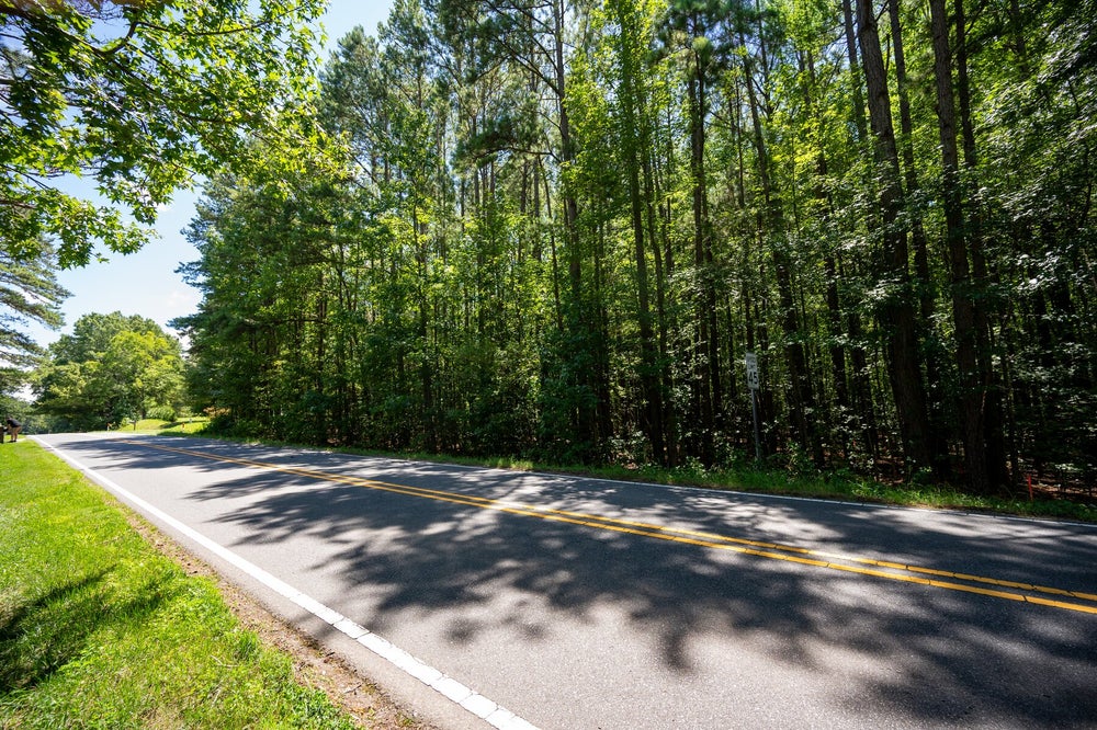 Two-lane road with yellow center lines bordered by tall trees and green grass on a sunny day