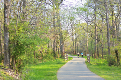Paved walking trail through wooded park with two people walking and wooden fence along the path