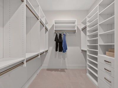 Walk-in closet with white built-in shelving, hanging rods, and built-in drawers on carpeted floor